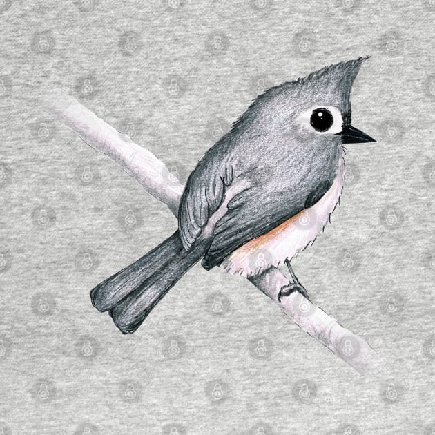 Tufted titmouse by Bwiselizzy